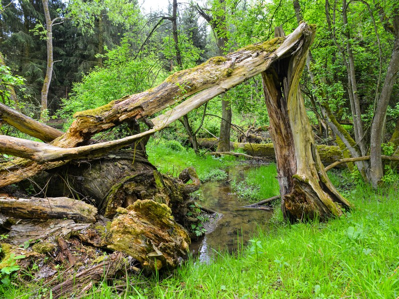 Biotechnická opatření