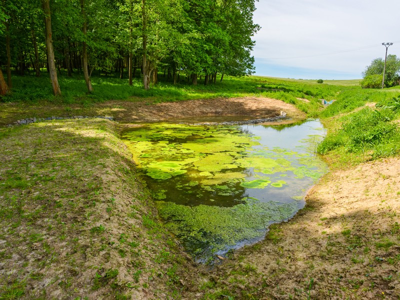 Revitalizace příčného profilu