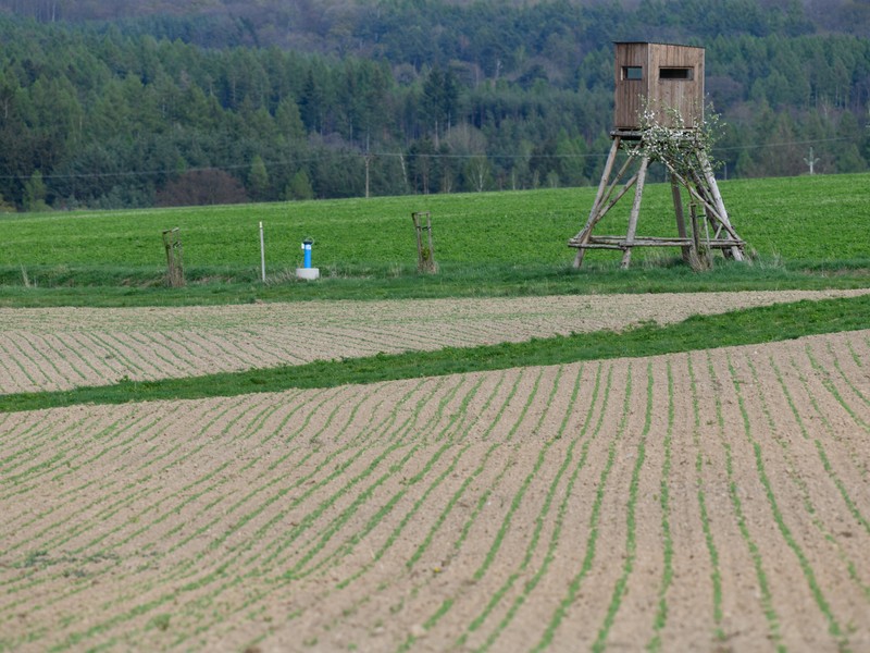 Setí do úzkých řádků