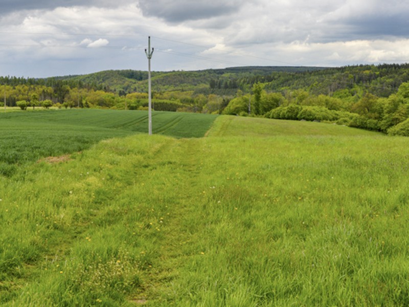 Zatravňování údolnic