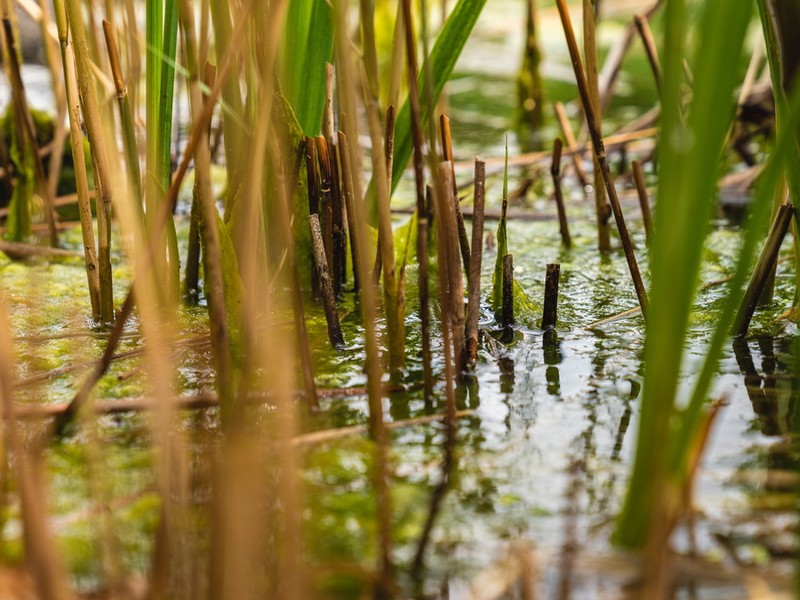 Ochranné oblasti pramenišť