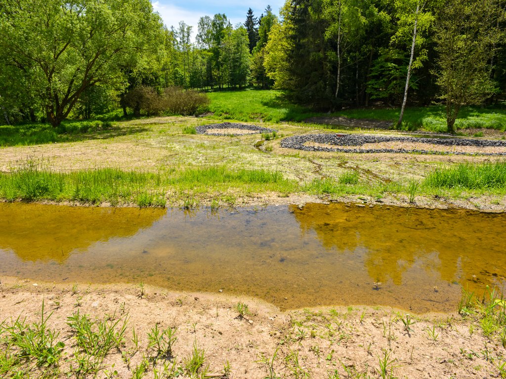 Nově vybudováné umělé mokřady