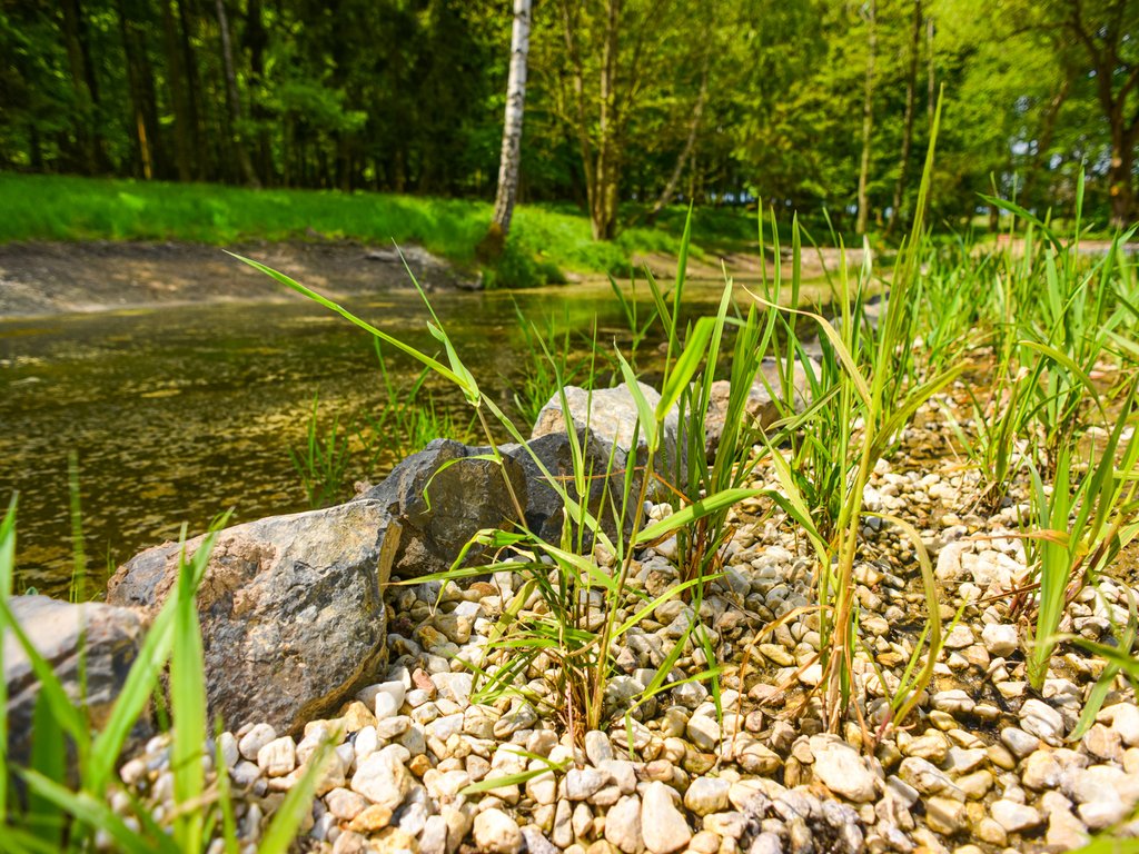 Biofiltr s emerzní vegetací