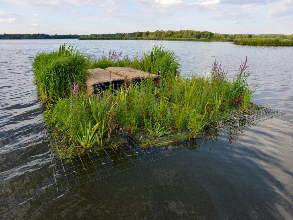 Plovoucí ostrov se vzrostlou vegetací
