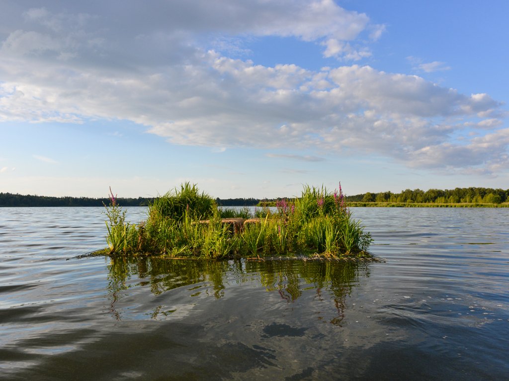 Plovoucí ostrov na rybníce