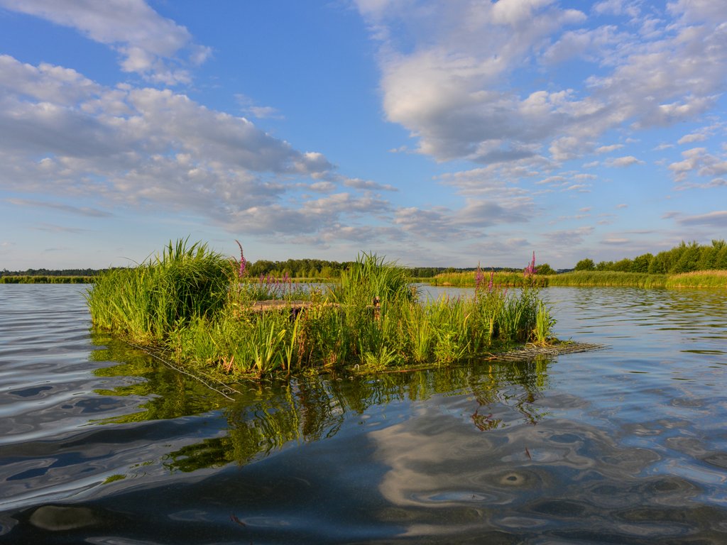 Plovoucí ostrov na rybníce