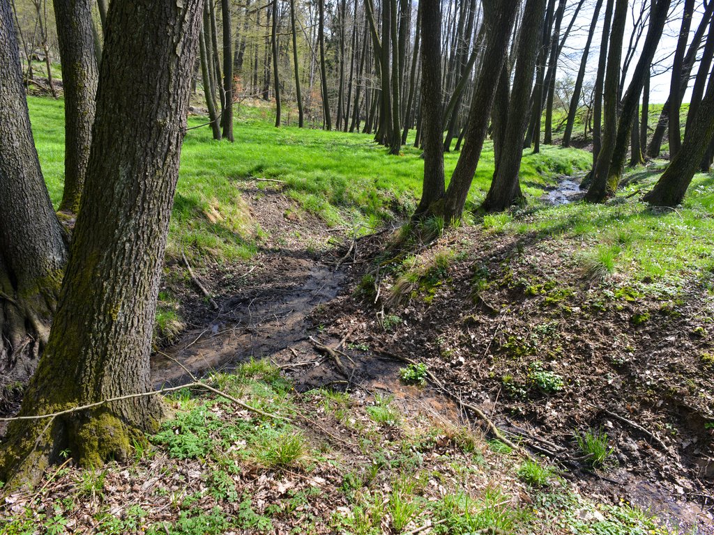 Zaleznění a ochrana pramenných oblastí