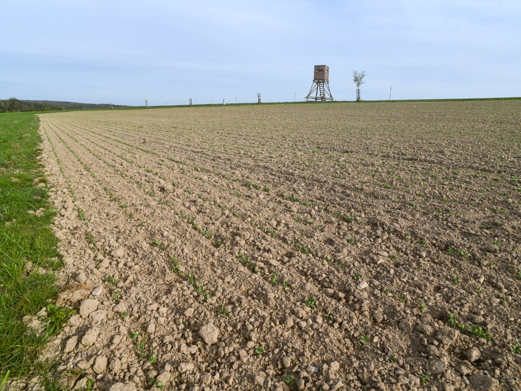 Hluboké a mělké předseťové kypření