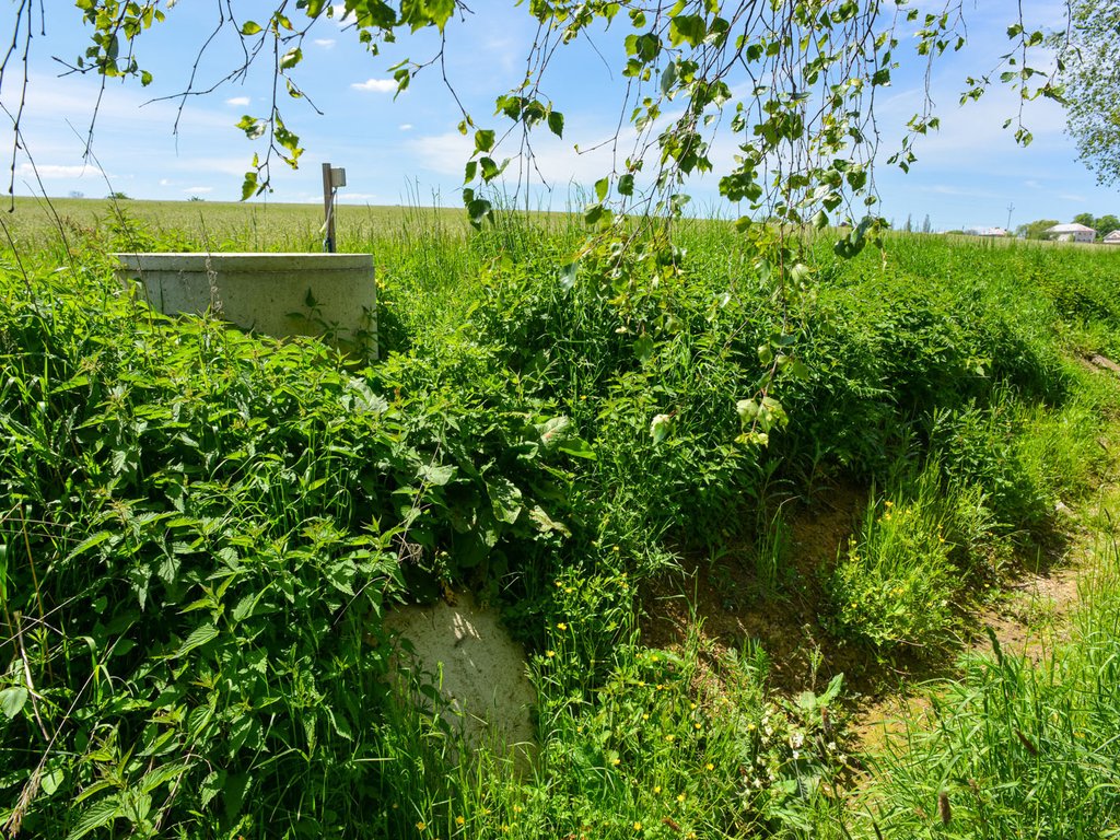 Regulace drenážních systémů